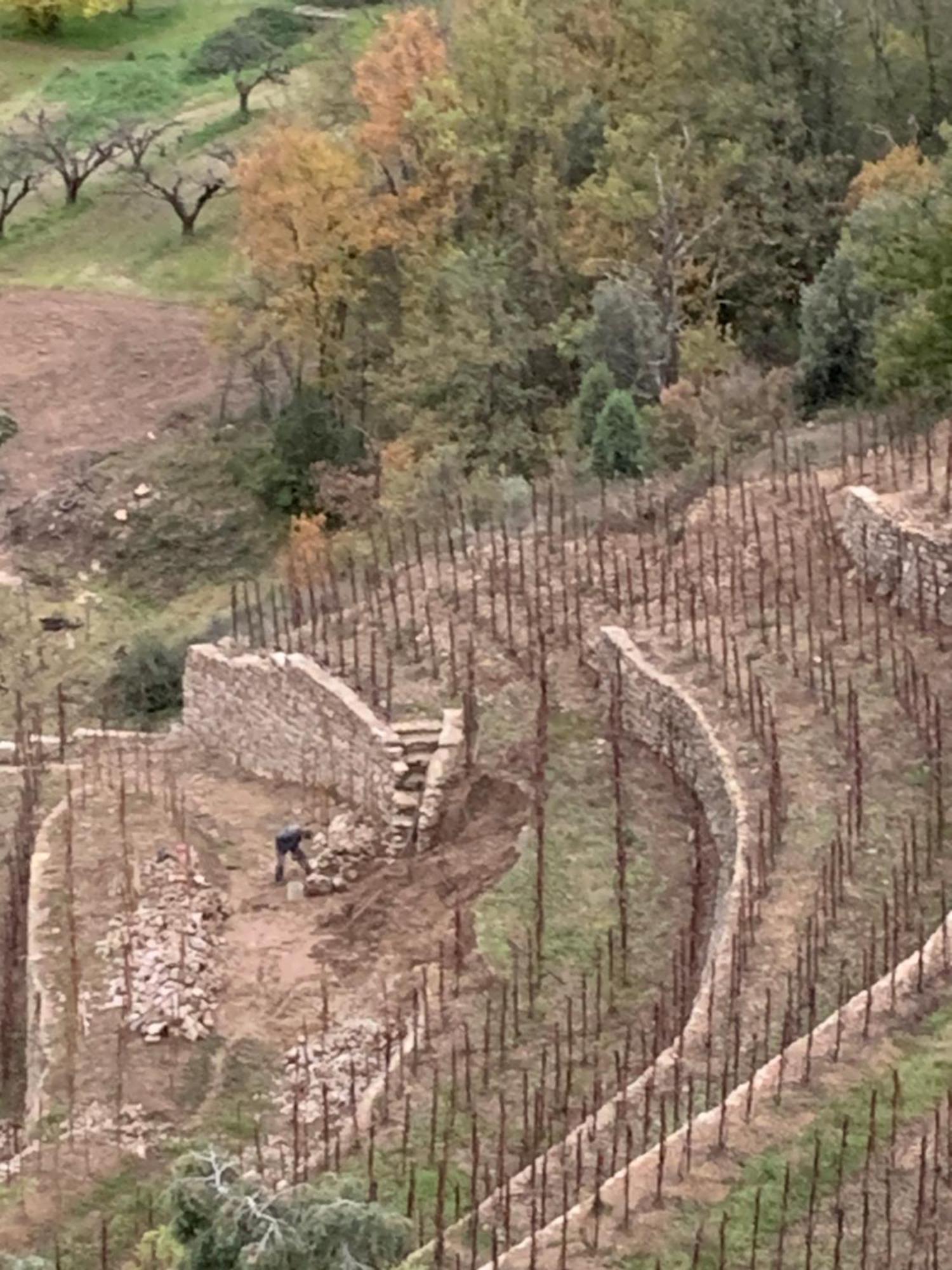 Grange Ardechoise Annonay Διαμέρισμα Εξωτερικό φωτογραφία